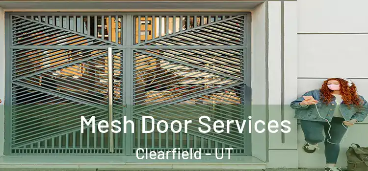 Mesh Door Services Clearfield - UT